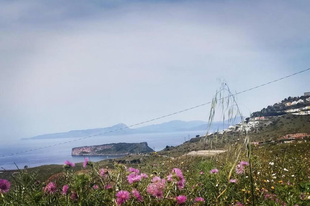 Villa Sospesa Tra Cielo E Mare San Nicola Arcella Dış mekan fotoğraf